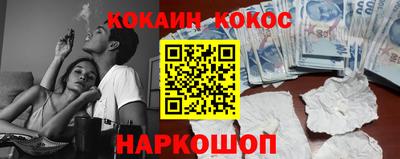 гашик Будённовск