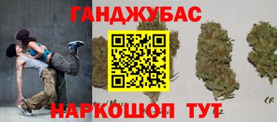 гашик Будённовск
