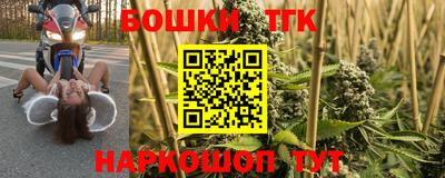 гашик Будённовск