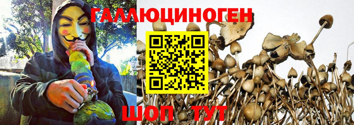 Псилоцибиновые грибы ЛСД Чехов