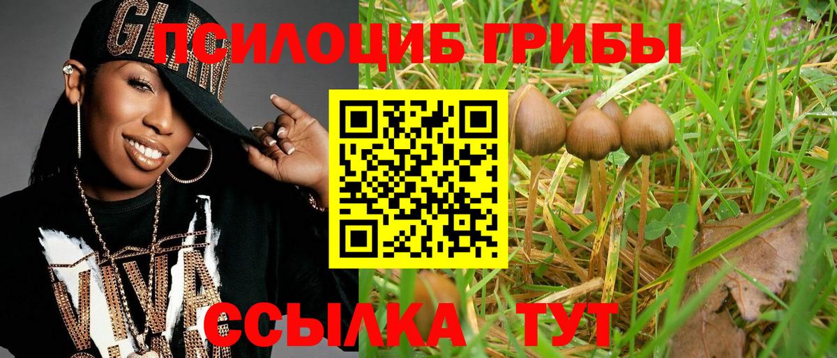 Псилоцибиновые грибы ЛСД  как найти закладки  Чехов  Вход с VPN 
